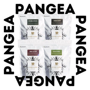 1. Pack PANGEA - 4 Bolsas de 250gr Café Especialidad